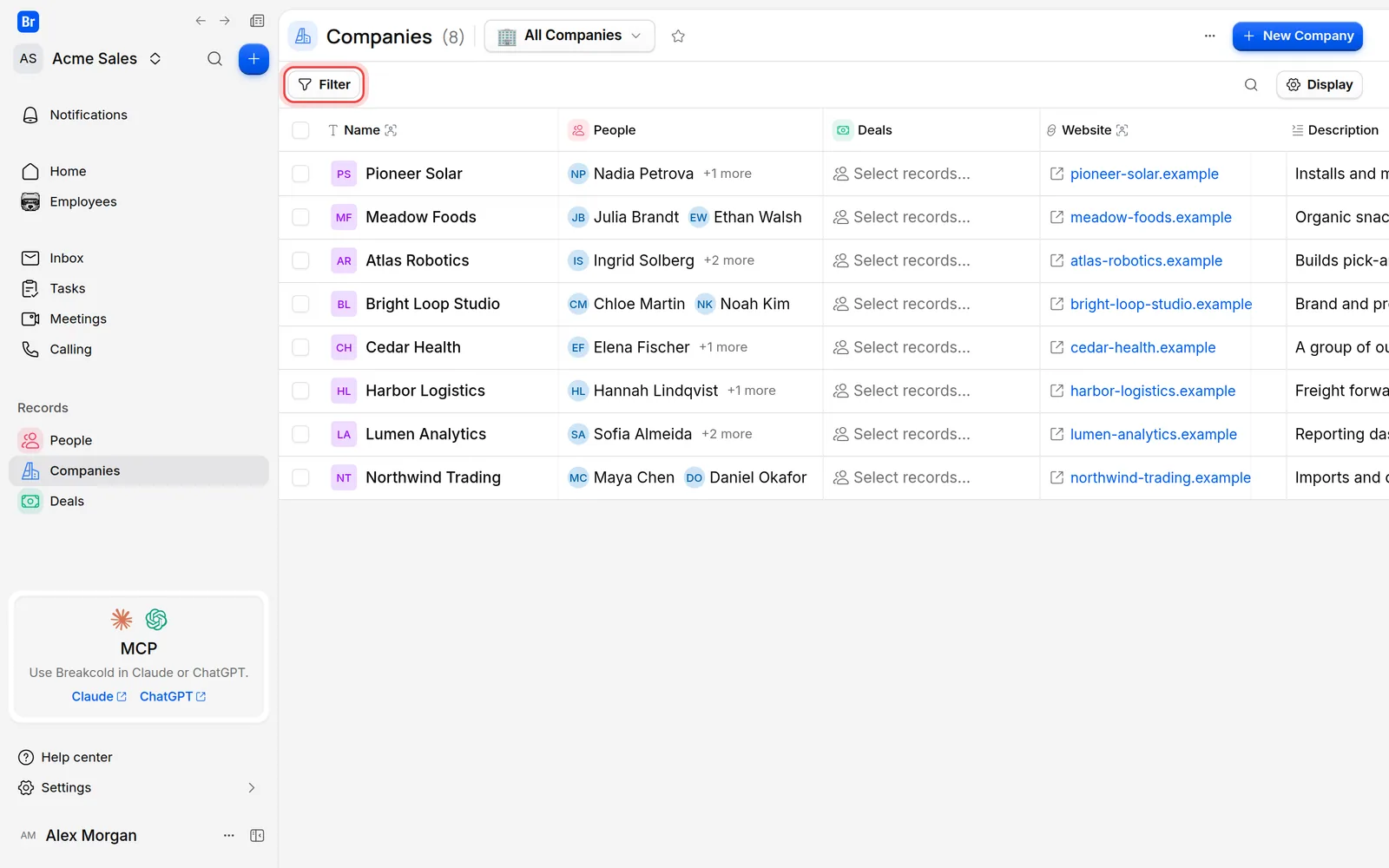 The Filter button above the list of companies