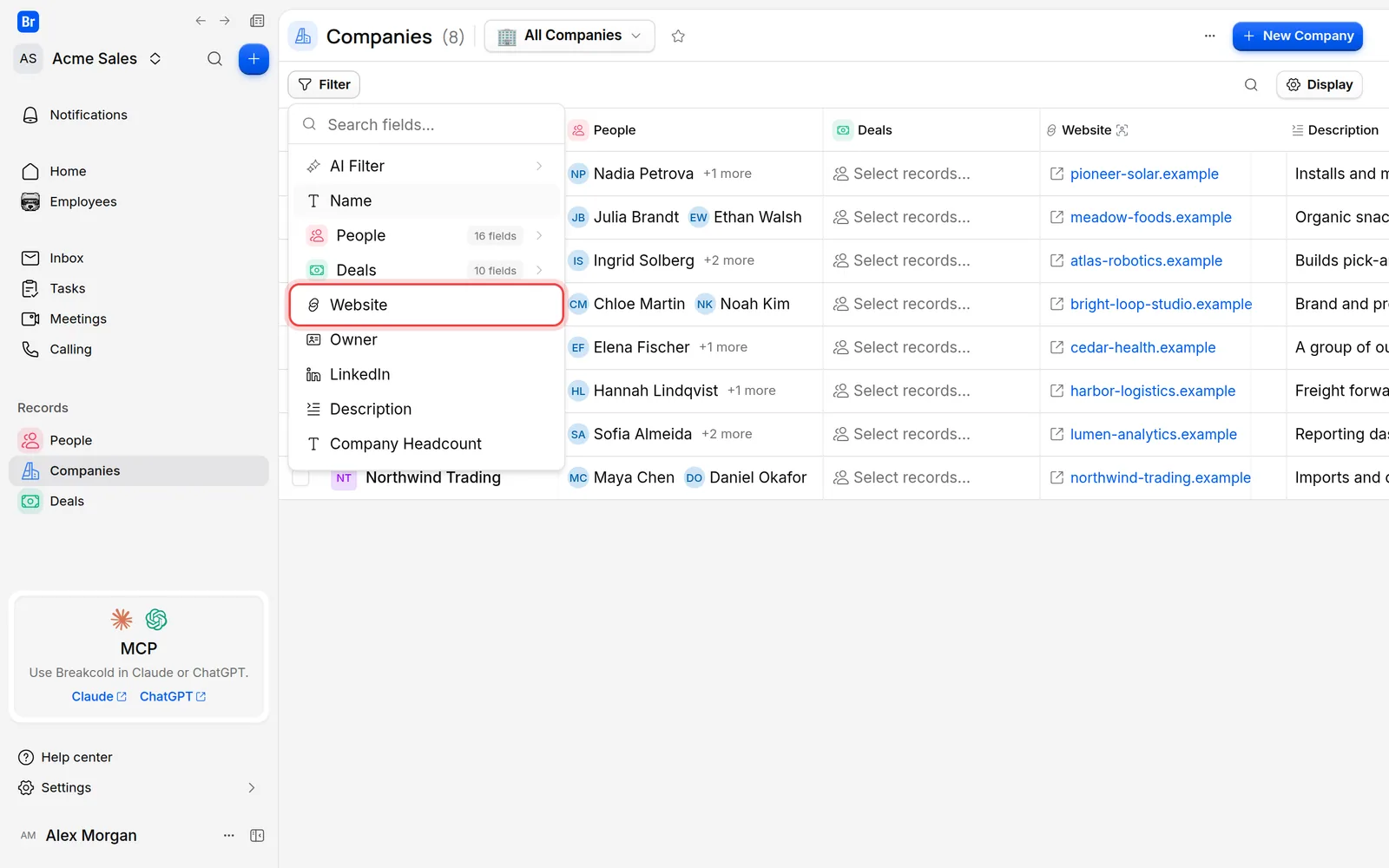 The list of fields to filter on, with AI Filter at the top and Website about to be chosen